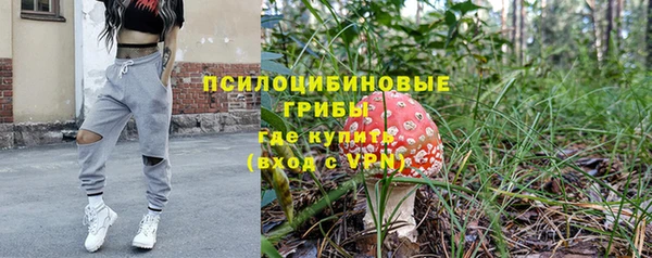 МДМА Горняк