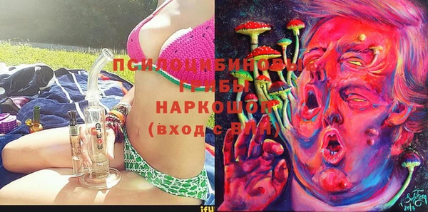 МДМА Горняк