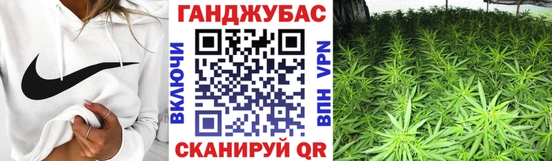 Шишки марихуана сатива  Купить где  Щёкино 